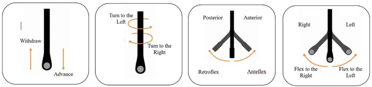 Four degrees of freedom of the TOE probe